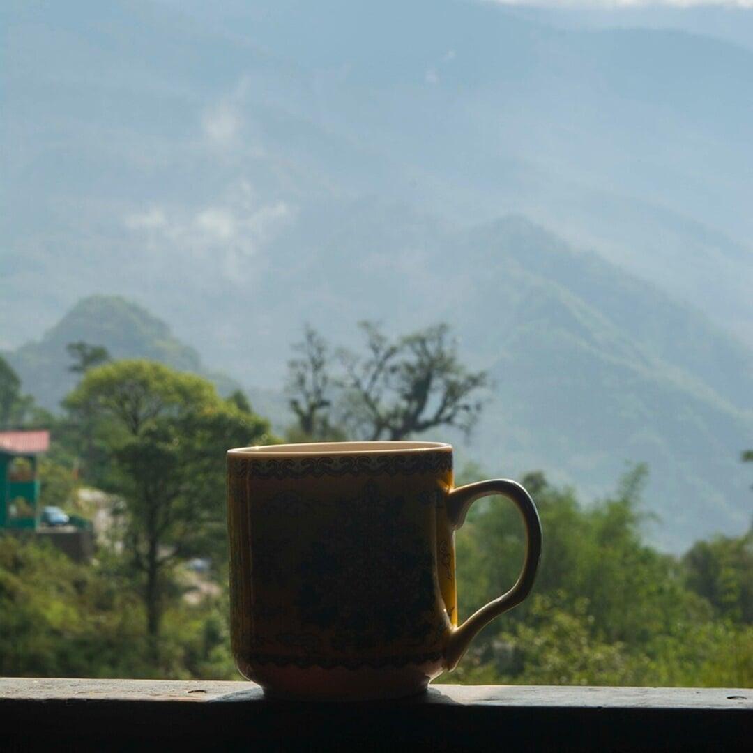 What You Can Do About Morning Anxiety